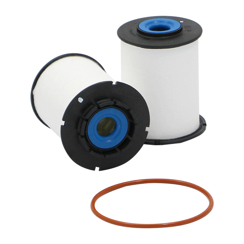 Filtro SK48889