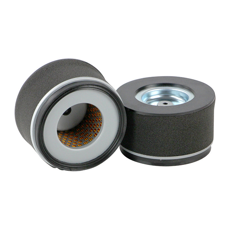 Filtro SL1931
