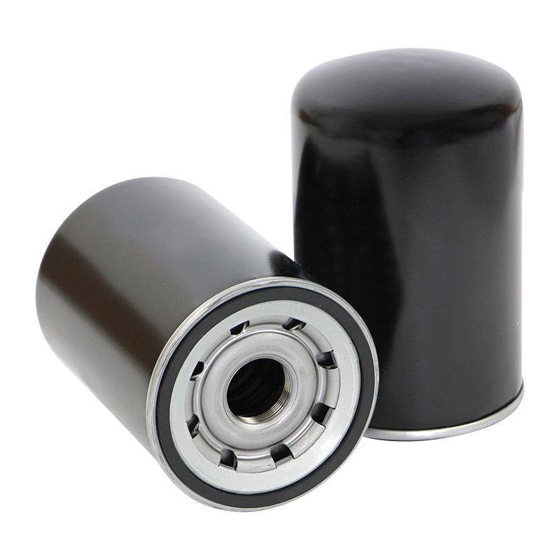 Filtro SK48639