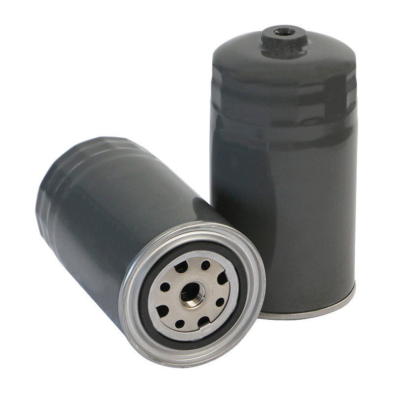 Filtro SK48968