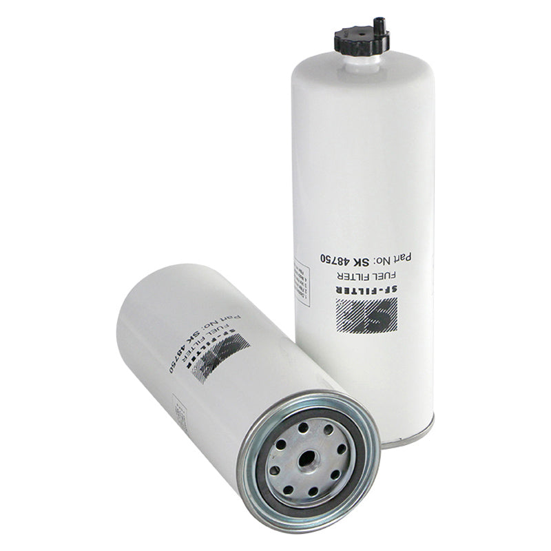 Filtro SK48750