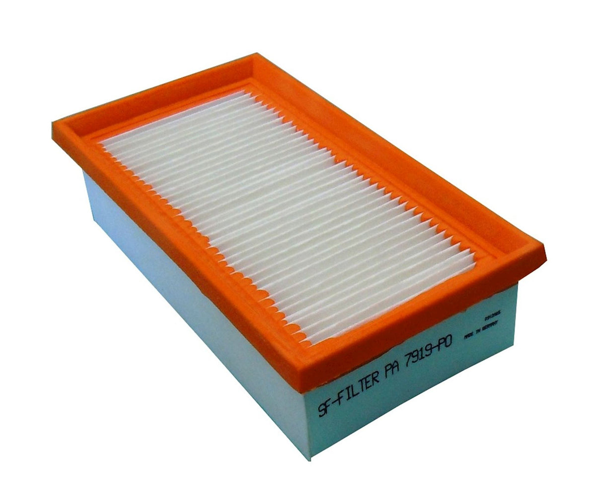 Filtro PA7919-PO