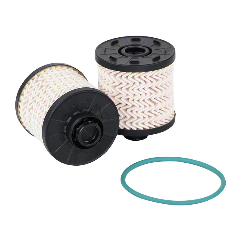 Filtro SK48886