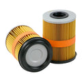 Filtro SL550