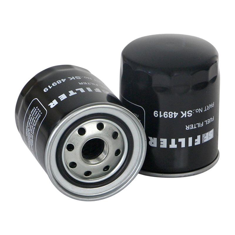 Filtro SK48919