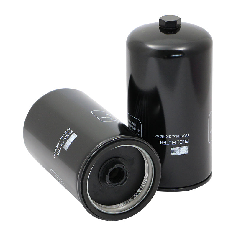 Filtro SK48787