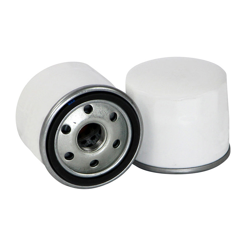 Filtro SBL88107