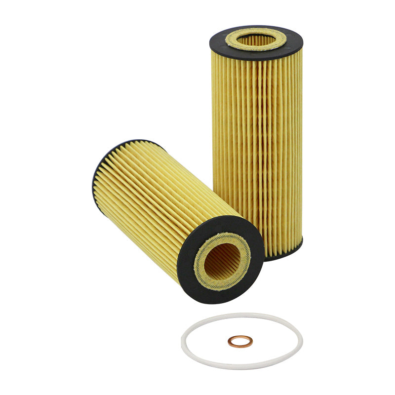 Filtro SO4831