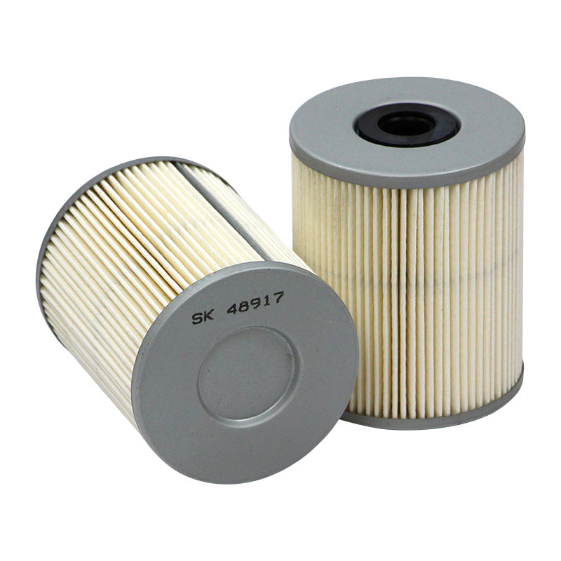 Filtro SK48917