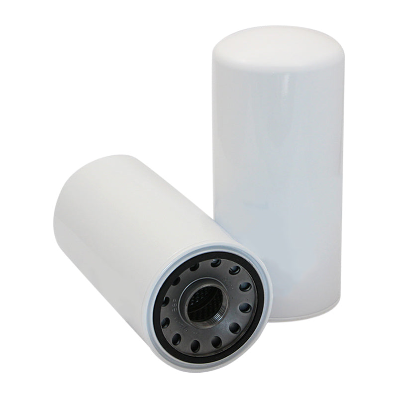 Filtro SK48739