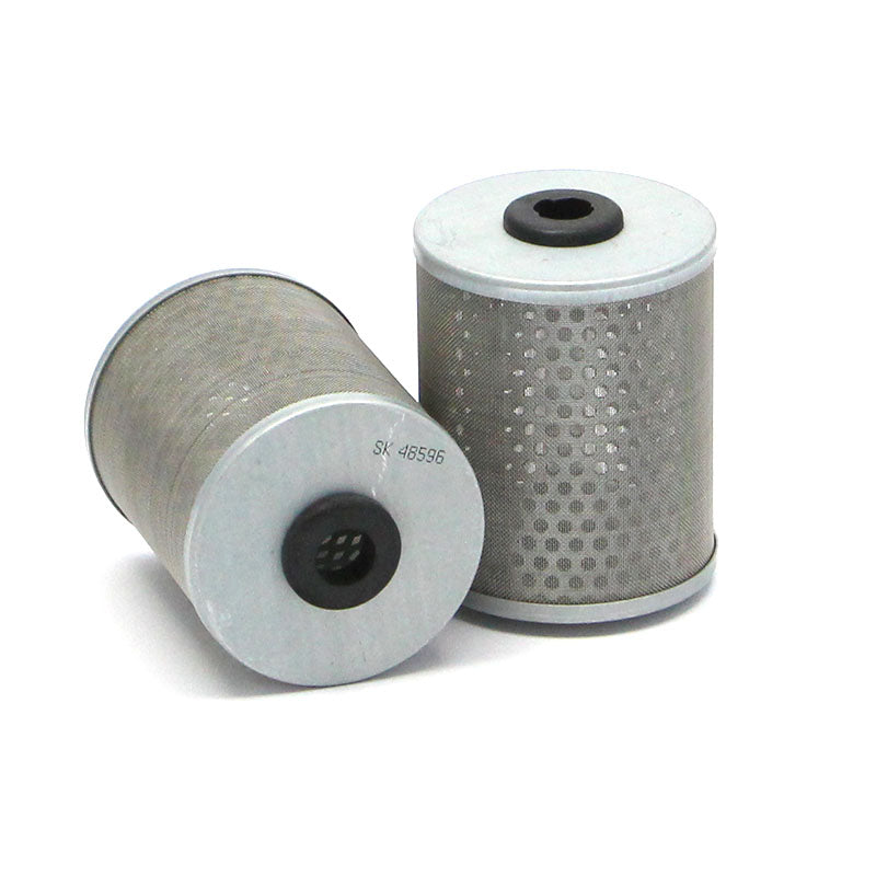 Filtro SK48596