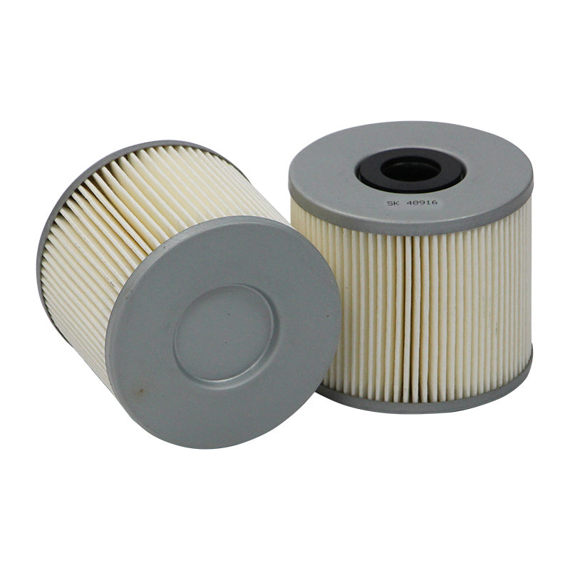 Filtro SK48916