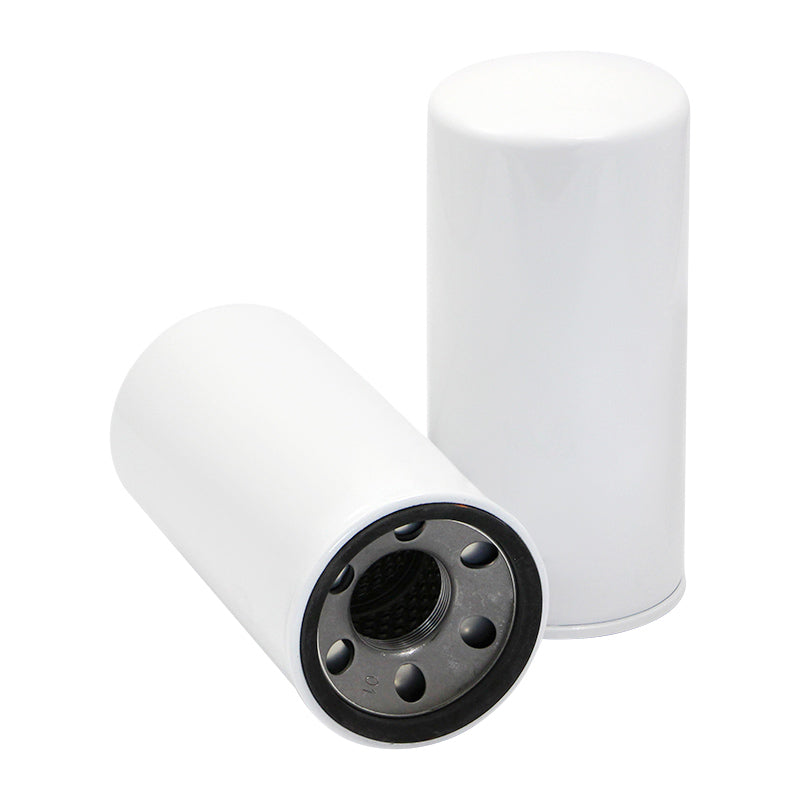 Filtro SK48533