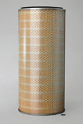 Filtro P042343
