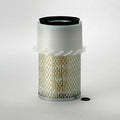 Filtro P136258