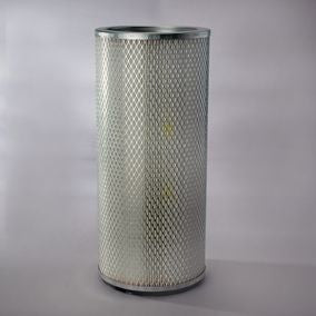 Filtro P137641