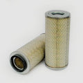 Filtro P140131