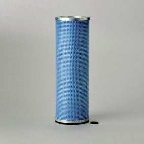 Filtro P141319