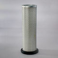 Filtro P145703
