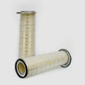 Filtro P150693