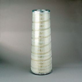 Filtro P150694