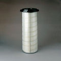 Filtro P150695