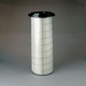 Filtro P150695