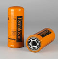 Filtro P163323