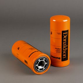 Filtro P163324