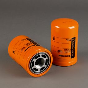 Filtro P163419