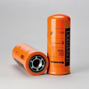 Filtro P165338