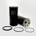 Filtro P165880