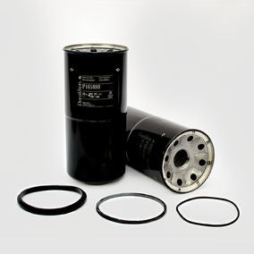 Filtro P165880