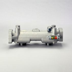 Filtro P167296