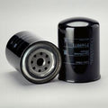 Filtro P169071