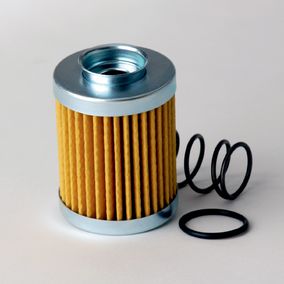 Filtro P171503