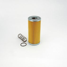 Filtro P171540