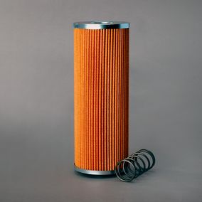 Filtro P171545
