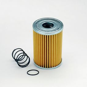 Filtro P171557