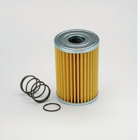 Filtro P171558