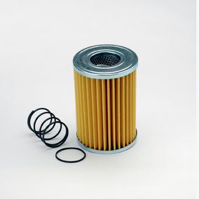 Filtro P171564