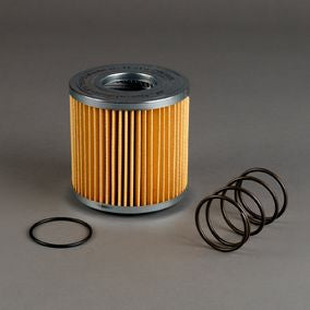 Filtro P171593