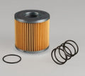 Filtro P171594
