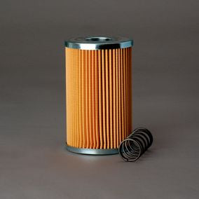Filtro P171600