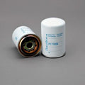 Filtro P171606
