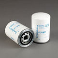 Filtro P171607
