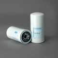 Filtro P171610
