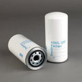 Filtro P171611