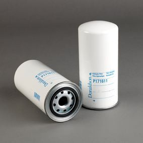 Filtro P171611