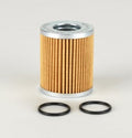 Filtro P171653